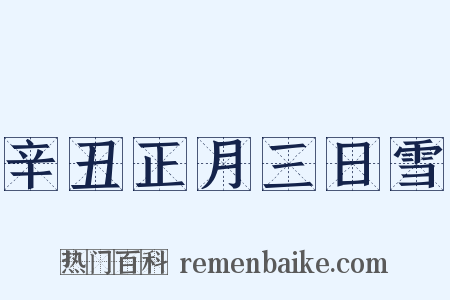 辛丑正月三日雪是什么意思的图片